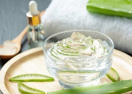 aloe-1-1-1-1.jpg aloe-1-1-1-1.jpg