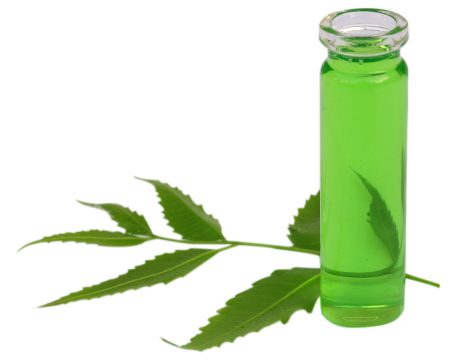 Herbal Medicine Neem leaves and neem leaf extract Herbal Medicine Neem leaves and neem leaf extract